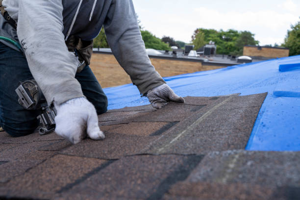 Best Roof Waterproofing Services  in Amherst, OH